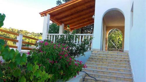 Villa Matea With Pool