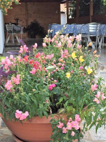 Bed & Breakfast Pension Nina