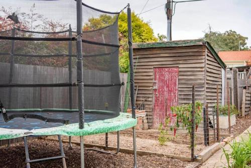 Inner-city Comfort & Charm / Narrabundah