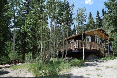 Mountain Forest Escape Puts You Right In Nature - Elg Hus