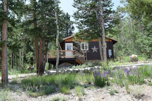 Mountain Forest Escape Puts You Right In Nature - Elg Hus