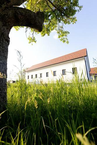 Apartamento Die Arkade