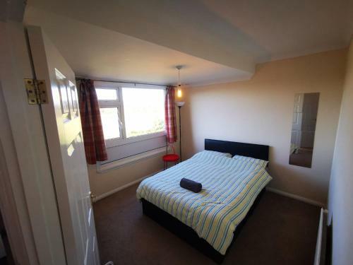 Apartamento 3 Bedrooms House In Chelmsford