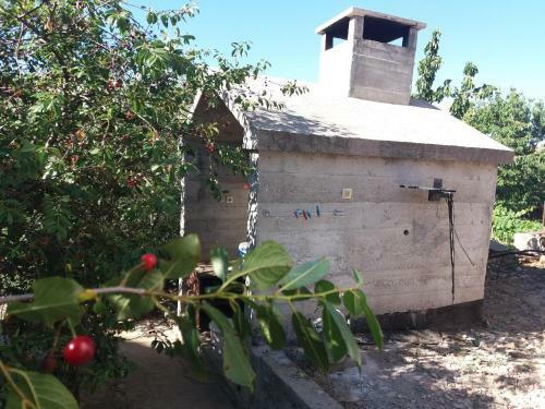 Apartamento Green Oasis