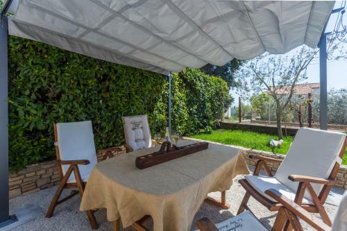 Charming Apartment Alba Premium