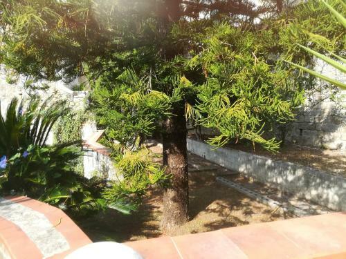 Apartamento Casa Dello Ziro