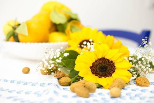 Apartamento App Con Balcone E Terrazzo Orchidea