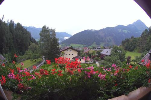Apartamentos Appartement Sylvester