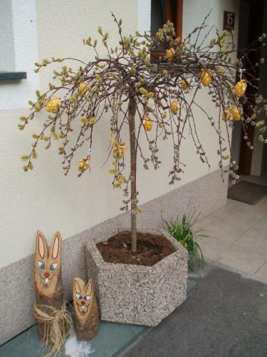 Apartamentos Appartement Sylvester