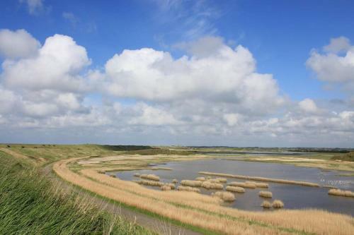 Knusse Vakantie Woning 2b