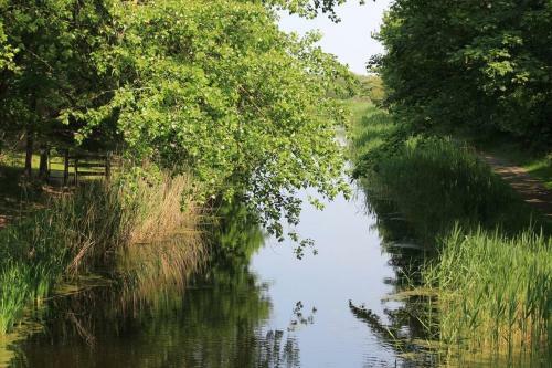 Knusse Vakantie Woning 2b