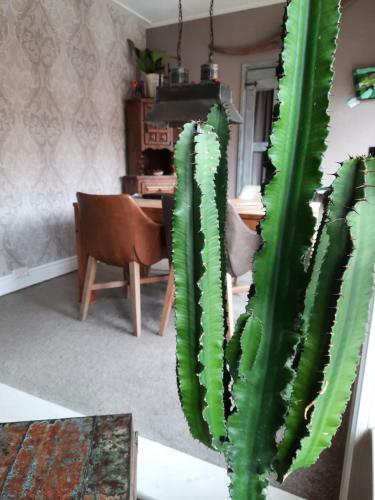 Apartamento Vakantiehuis Aan Zee