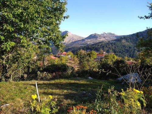 Hostal Xenonas Aloni