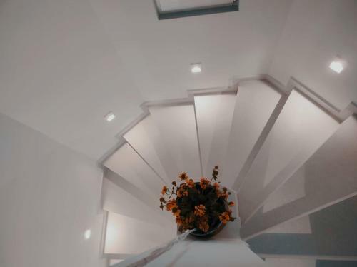 Hotel Dimani Suites