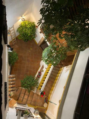Bed & Breakfast M�son La Hospeder�a