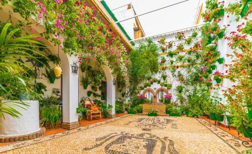 Apartmento Jara San Basilio