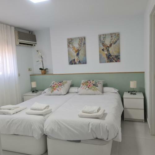 La Victoria Apartamentos 4