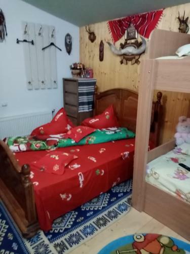 Cabana Catalina Vorone?