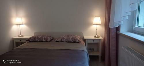 Apartamenty Pod Lasem
