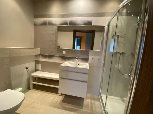 Apartament Caminski D?bowa