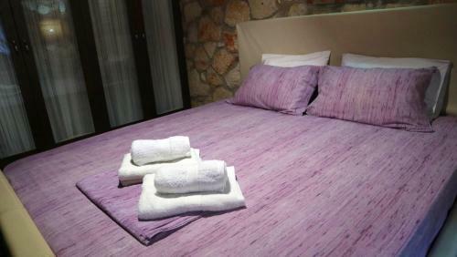 Villa Andromeda Stone House