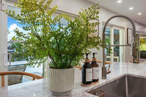 Palisades By Jadoreluxe L Oasis Pool And Waterview