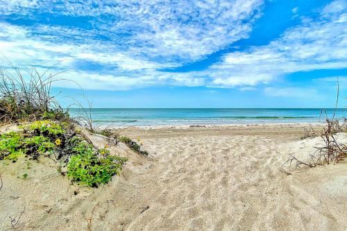 Beach Palms 406