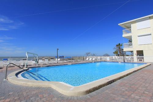Sand Dollar 501
