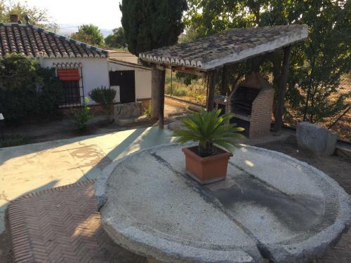 Cortijo La Camelia