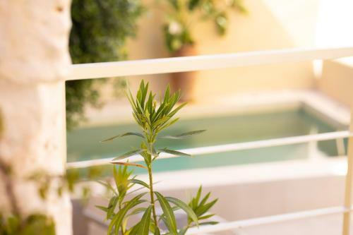 Byblos Villa Walking Distance To Everything W/heated Pool & Bbq
