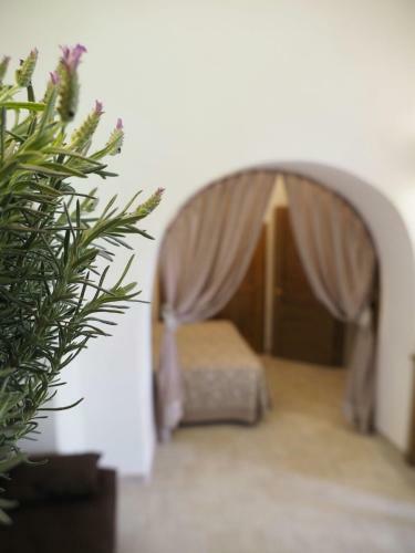 Bed & Breakfast Trullo La Bomboniera Di Anna