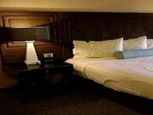 Hotel Sagar Castle
