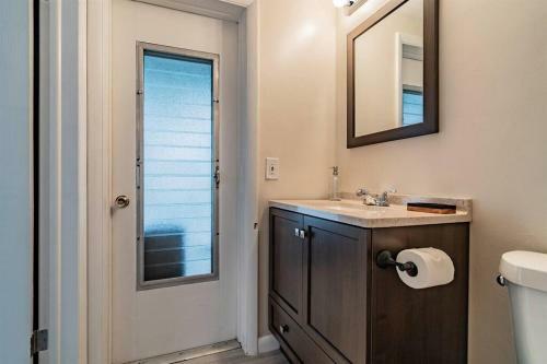 Dolphin Delight