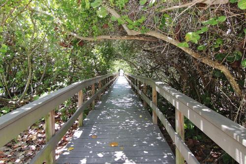 Seaspray Beach Cottage A