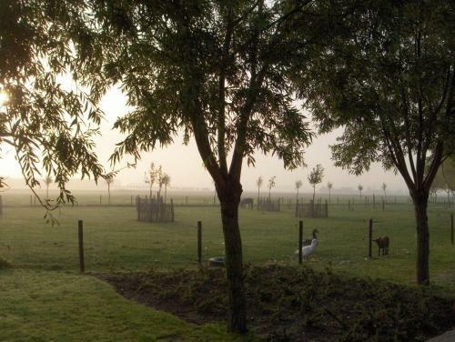 B&B Knotwilgenhoeve