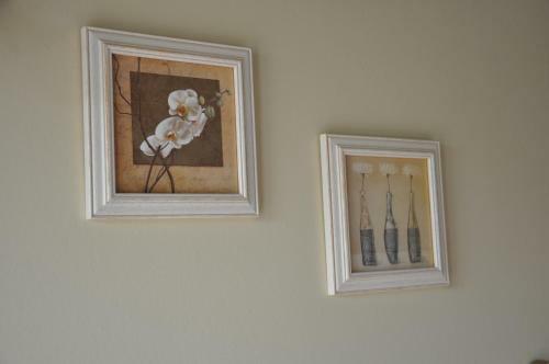 B&B Knotwilgenhoeve