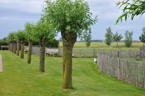 B&B Knotwilgenhoeve