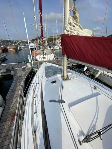 Private Sailing Boat Heart Of City
