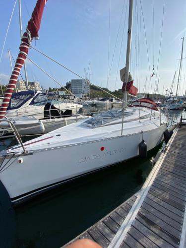 Private Sailing Boat Heart Of City