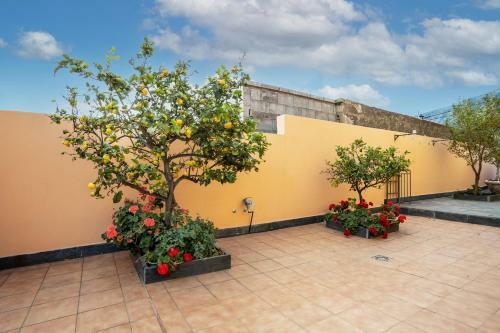 Villa De Las Flores