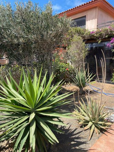 Villa Eco Wild