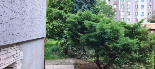 Villa Garden Rooms