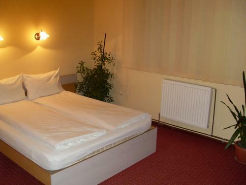 Hostal Pensiunea Beverly Hills