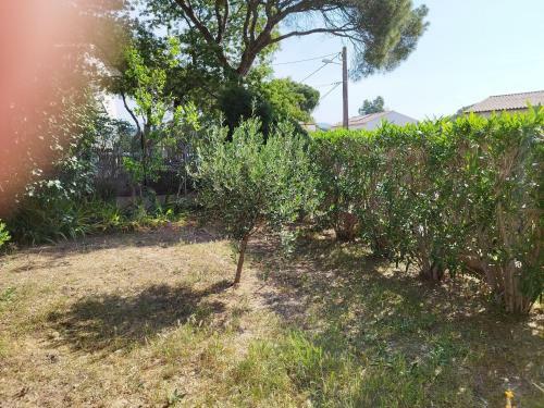 Fr�jus , Maison De Vacances , Tour De Mare