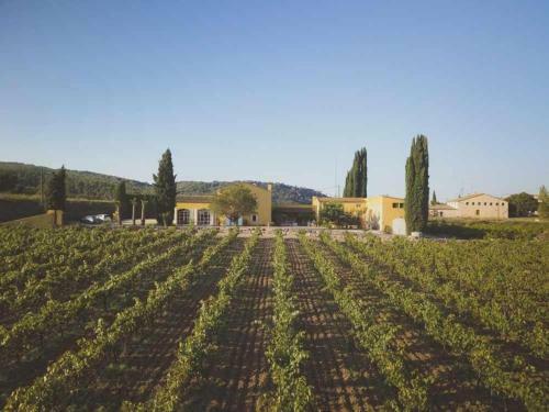 Lidia Rural House