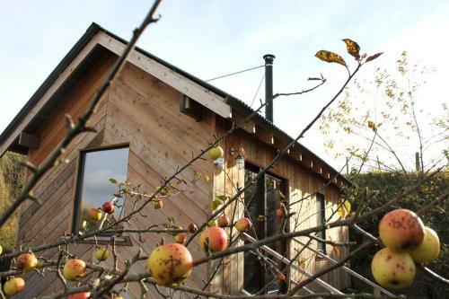 Secluded Off-grid Cabin In Easy Reach Of Edinburgh