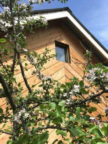 Secluded Off-grid Cabin In Easy Reach Of Edinburgh