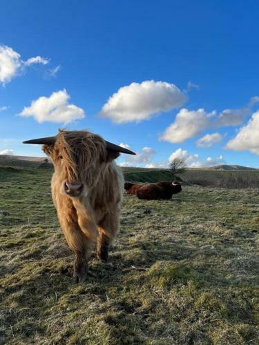 Secluded Off-grid Cabin In Easy Reach Of Edinburgh