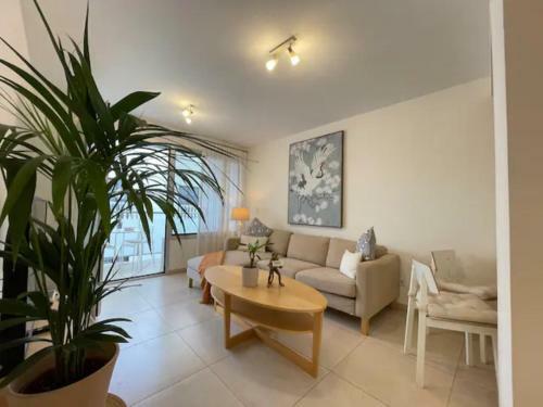 Exclusivo Apartamento En El Coraz�n de La Capital