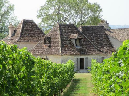 Apartamento Le Sauvignon